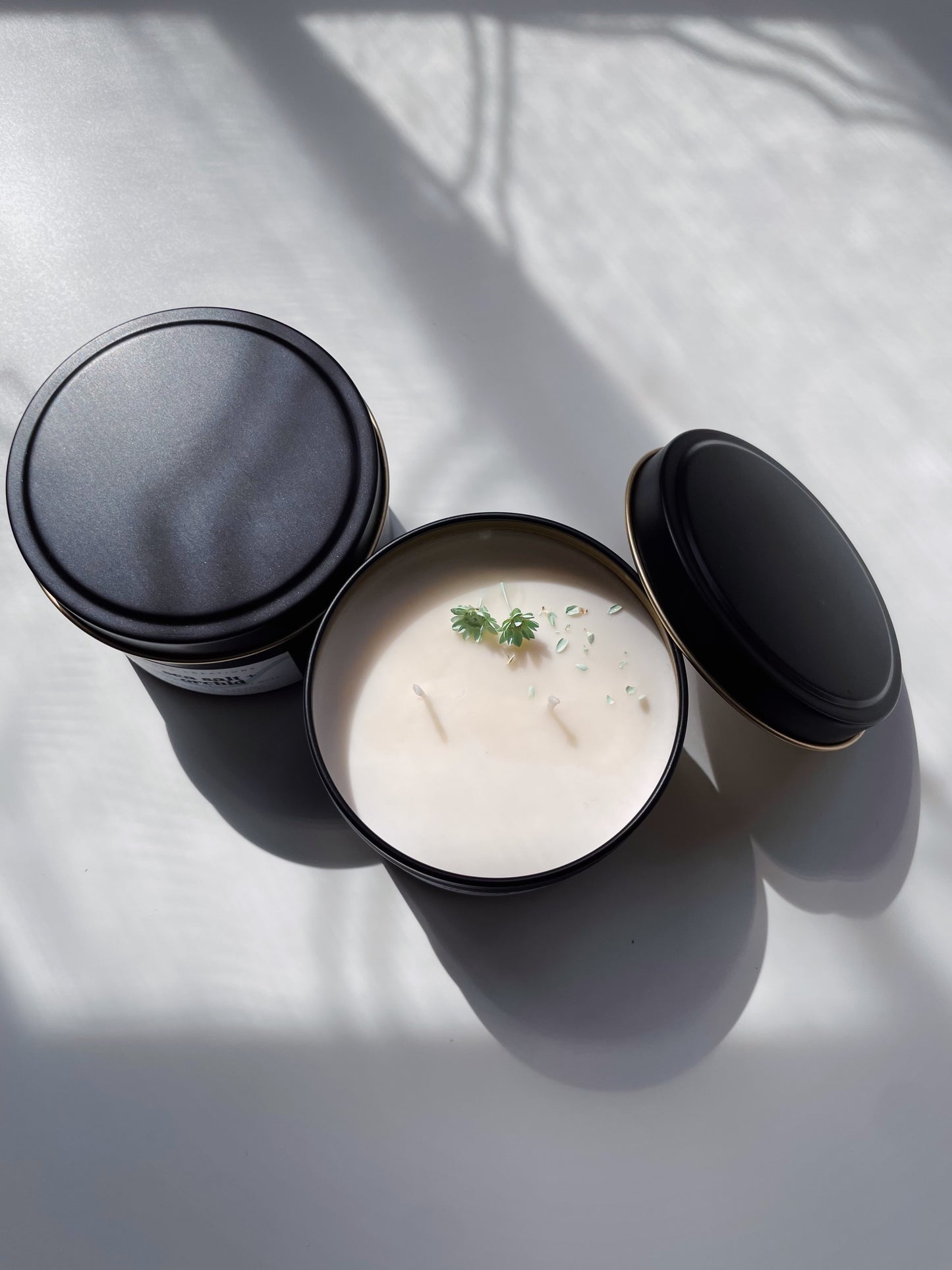 Sea Salt + Orchid