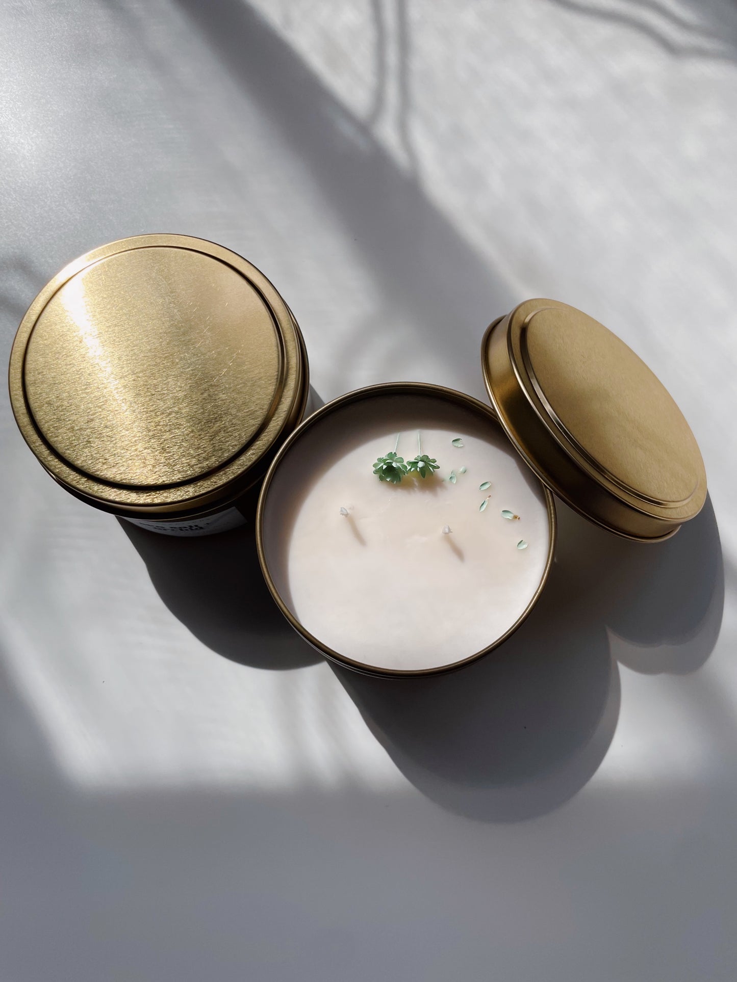Sea Salt + Orchid